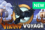 Viking voyage